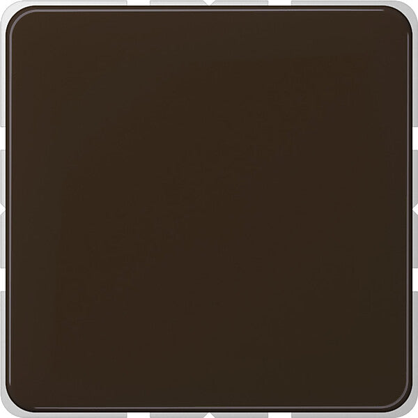 JUNG Blind-Abdeckung br kompl.mit Tragring CD 594-0 BR